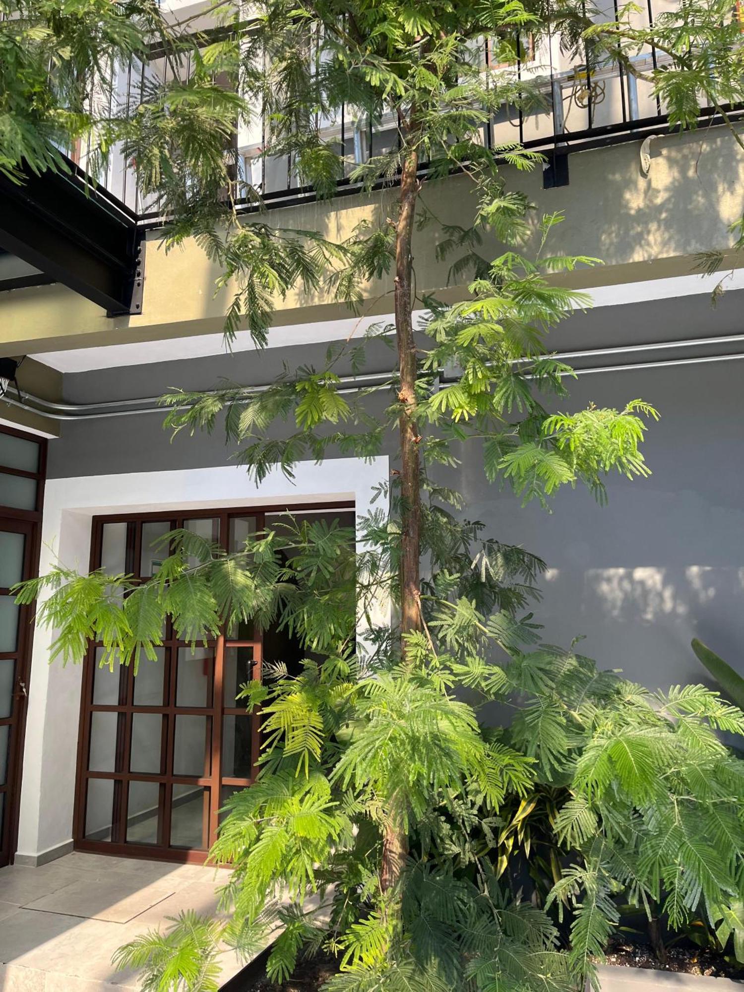 Eonia Hotel Atlixco Eksteriør billede